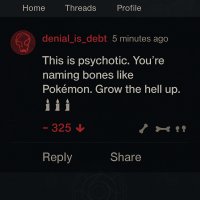onyxbone_chapters/artefacts/social_denier.jpg