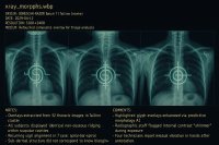 onyxbone_chapters/artefacts/xray_morphs.webp.png